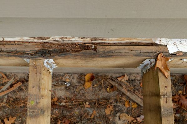 Tuscaloosa Wood Rot Repair