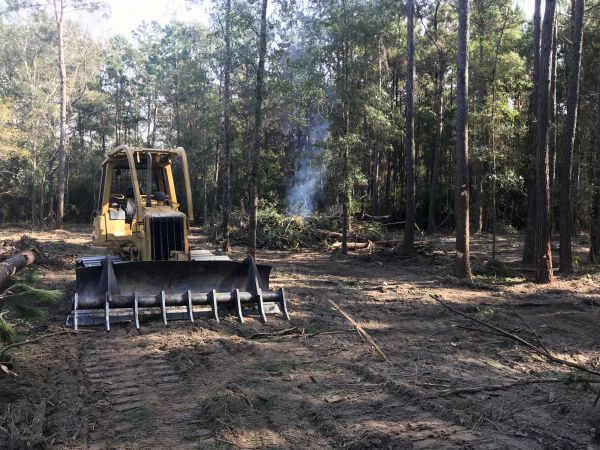 Tuscaloosa Land Clearing