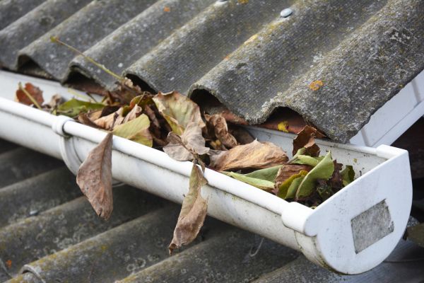 Tuscaloosa Gutter Cleaning